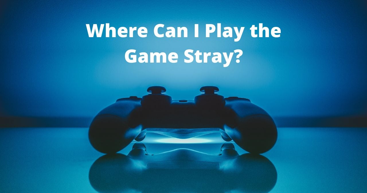 Where Can I Play the Game Stray?