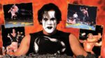 WCW vs. the World - back cover