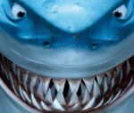 Finding Nemo - PlayStation 2 - back cover