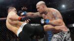UFC - back cover