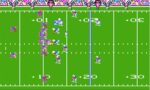 Tecmo Super Bowl - back cover