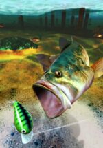 Bass Fishing - back cover