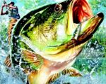 Bass Fishing - back cover