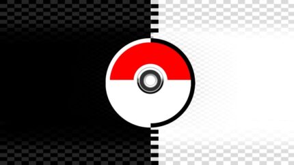 Pokemon Black Version - back cover
