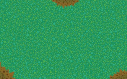 Animal Crossing Wild World - back cover