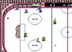 Ice Hockey - back cover