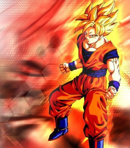 Dragon Ball Z Shin Budokai - back cover